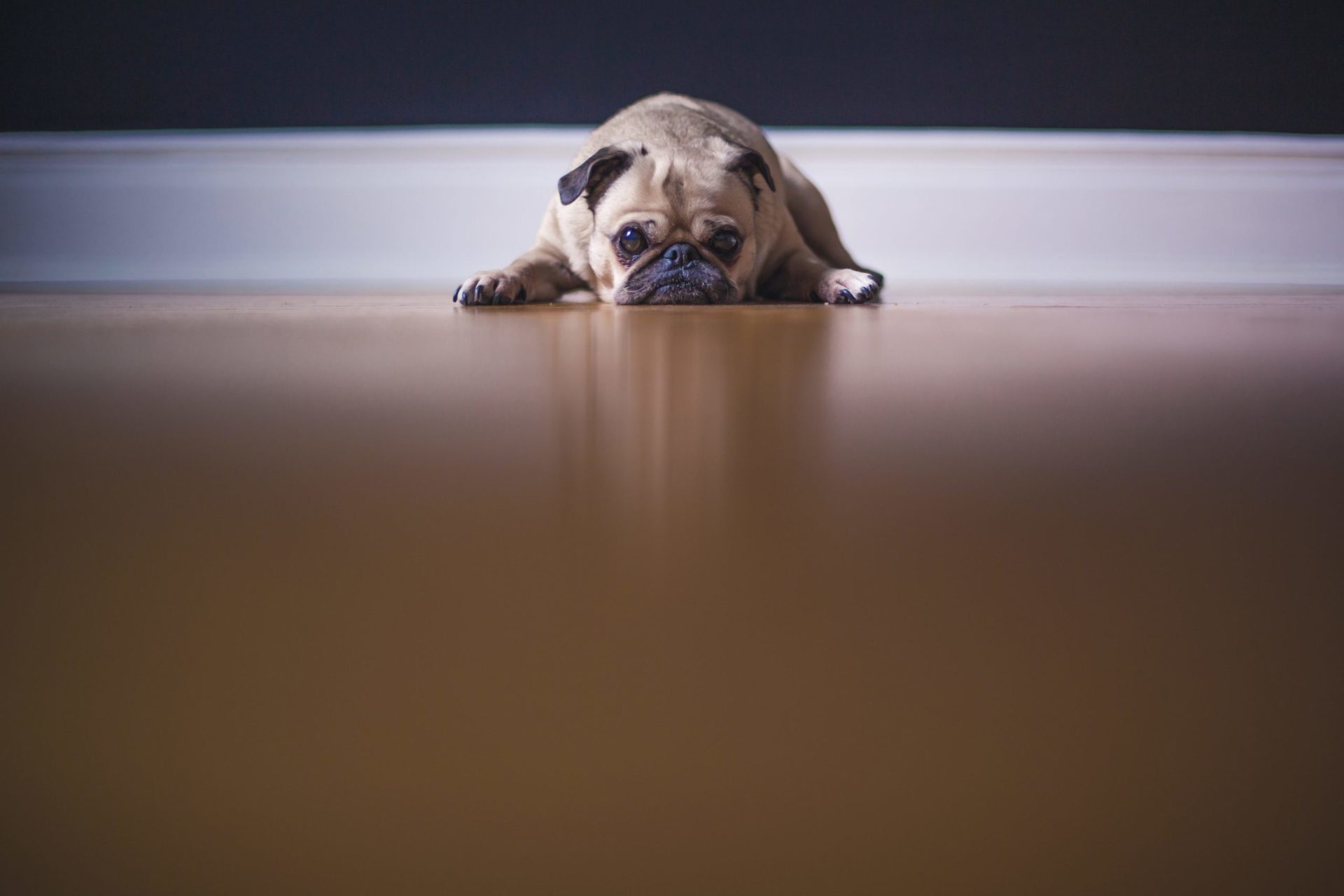 sunday night blues