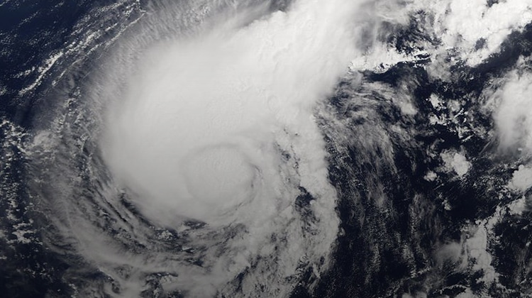 hurricane harvey disaster relief