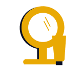 Mirror Vector